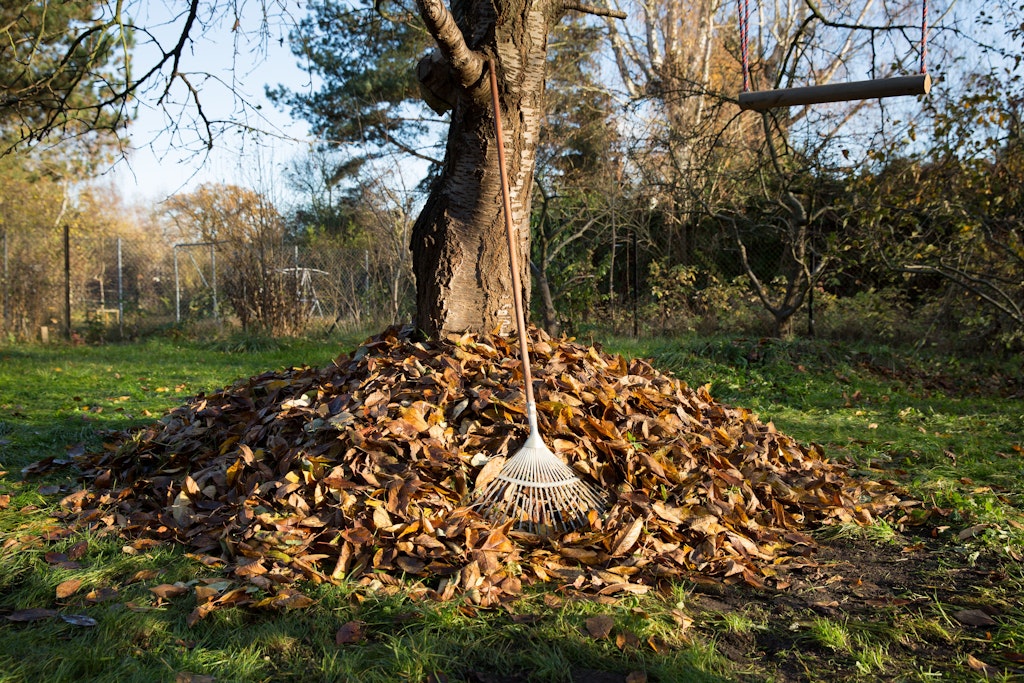 Ab auf den Kompost! Das mühsam zusammengeharkte Herbstlaub wird so zu neuer Erde oder wertvollem Dünger. Außerdem bietet ein Laubhaufen vielen Lebewesen Schutz im Winter. 
