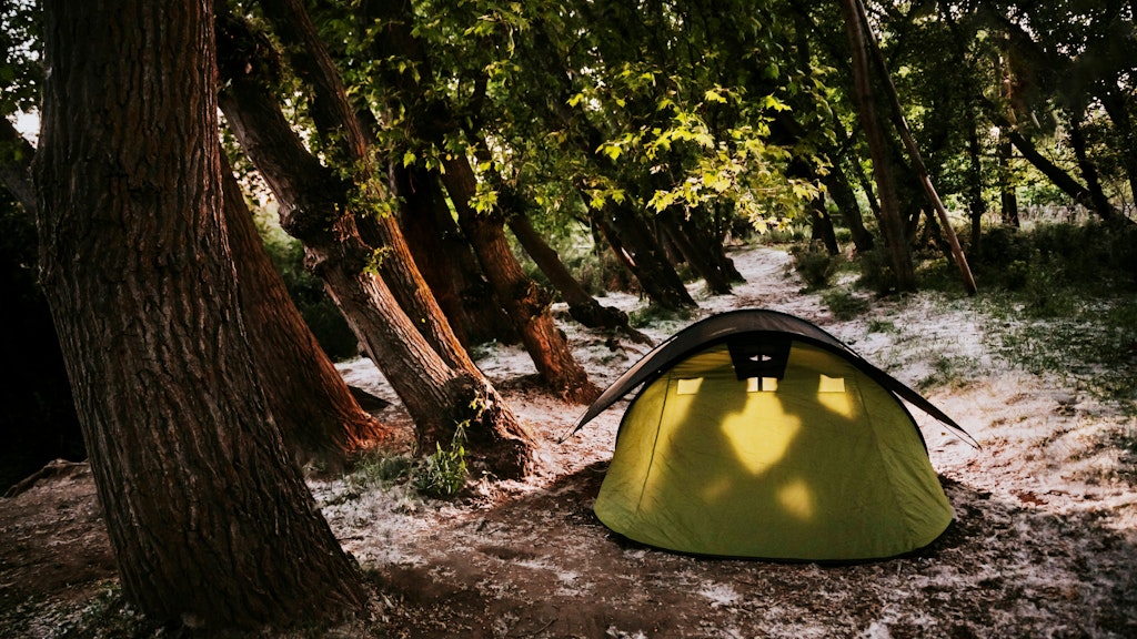 Sex im Wald scheint für viele eine reizvolle Idee zu sein.