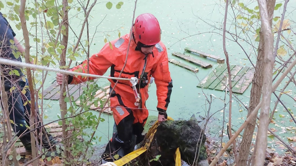 Mit einer Schlinge wurde der Esel von diesem Feuerwehrmann sicher aus dem Teich geholt.