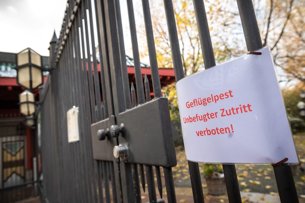 Wgen der Vogelgrippe bleibt der Berliner Zoo bis auf weiteres geschlossen.
