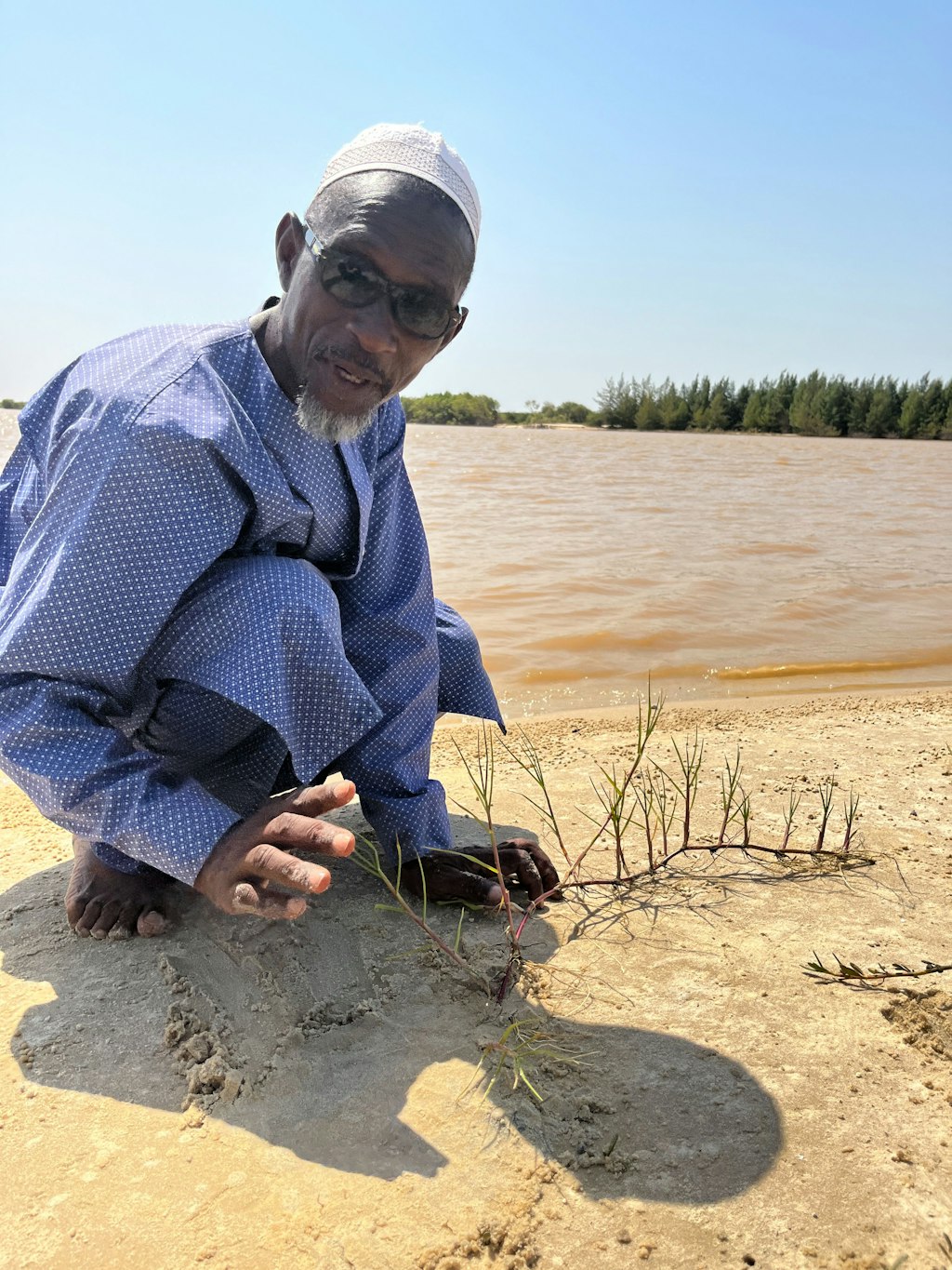 Dorfvorsteher Ahmeth Sène Diagne setzt immer wieder Pflanzen in der Hoffnung, dass sie helfen, das Ufer des Senegal-Flusses vor Erosion zu schützen.