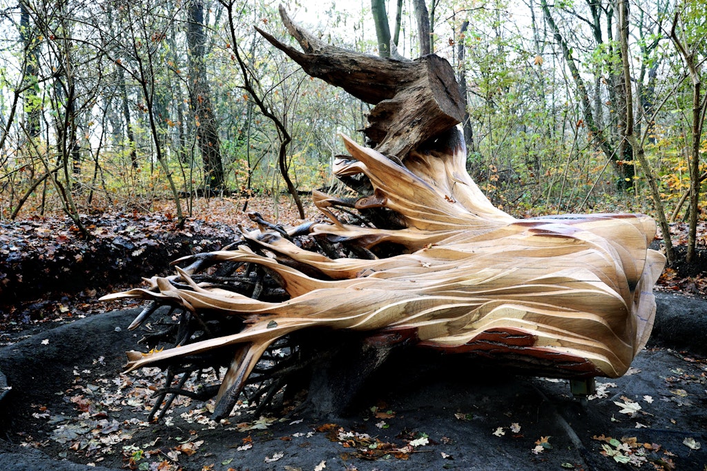 Tote Bäume mit ihrem zweiten Leben. Im Treptower Park werden sie zu ausgefallenen Skulpturen. Wie ein propellernder Wald-Kraken liegt diese Wurzel da. 