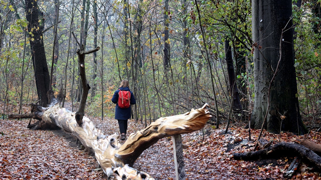 Immer und jederzeit geöffnet hat die außergewöhnliche Wald-Galerie im Treptower Park. 
