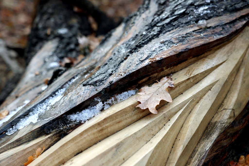 Scharf und weich zugleich. Holz ist ein wandelbarer Stoff. 