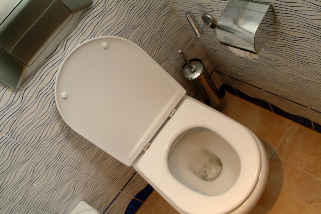 Es empfiehlt sich, die Toilette auch außen zu putzen und die Klobürste regelmäßig zu tauschen.