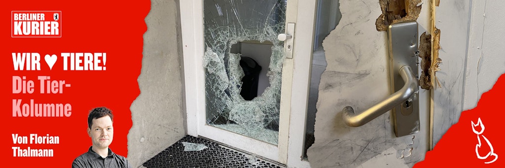 Bei dem Einbruch hinterließen die Täter eine Schneise der Verwüstung.
