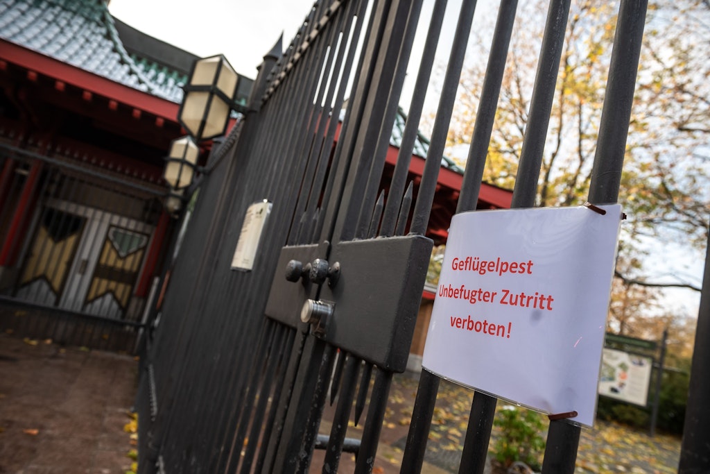 Der Zoo Berlin ist immer noch wegen eines Vogelgrippe-Falls geschlossen. Alle 1207 Vögel werden getestet. 