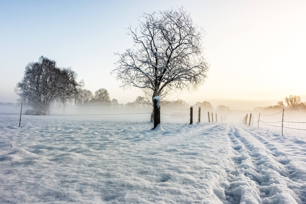 Jetzt wird es richtig winterlich. Das Wetter dreht die Temperaturen runter, viel Neuschnee sagen Experten voraus.