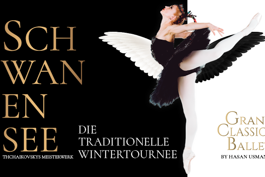 Die Schwäne sind pünktlich zu Weihnachten 2023 in Berlin zurück!