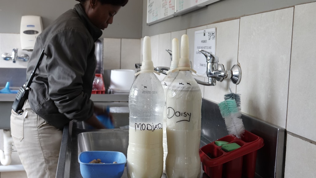 „Care for Wild“ Mitarbeiterin Thulile Msithini bereitet die Milch für Nashorn-Baby Daisy und Zebra Modjadji zu.