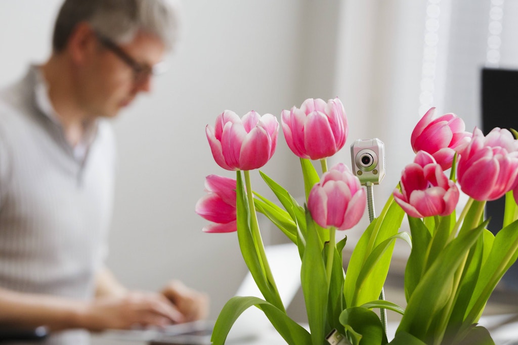 Diese Kamera im Blumenstrauß ist deutlich leichter zu erkennen als viele versteckte Mini-Kameras in Spielzeugen