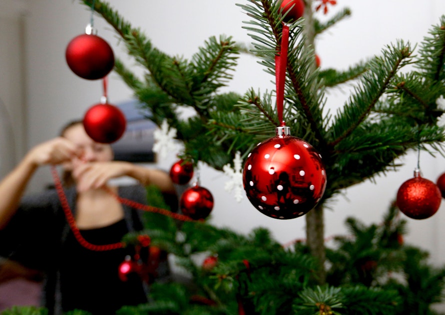 Wie bleibt der Weihnachtsbaum lange frisch? Mit diesem Trick hält er