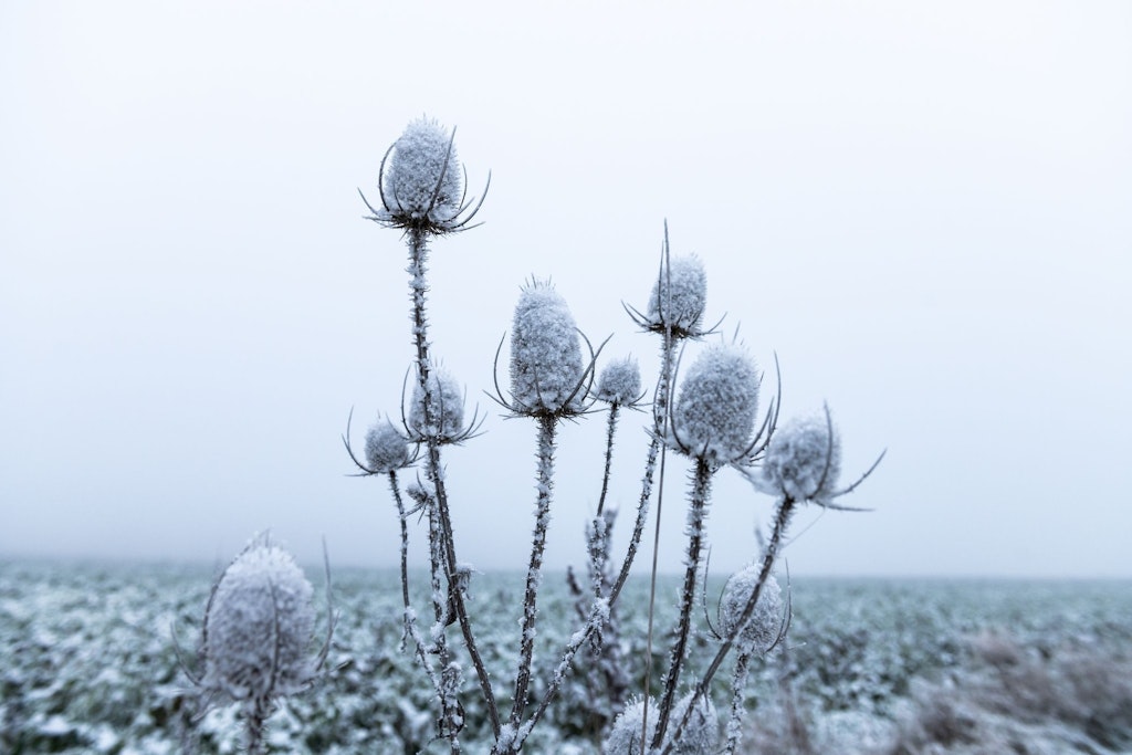 Eisekalt werden die kommenden Tage, in Sibirien wurden laut Wetter-Experte schon minus 60 Grad gemessen.