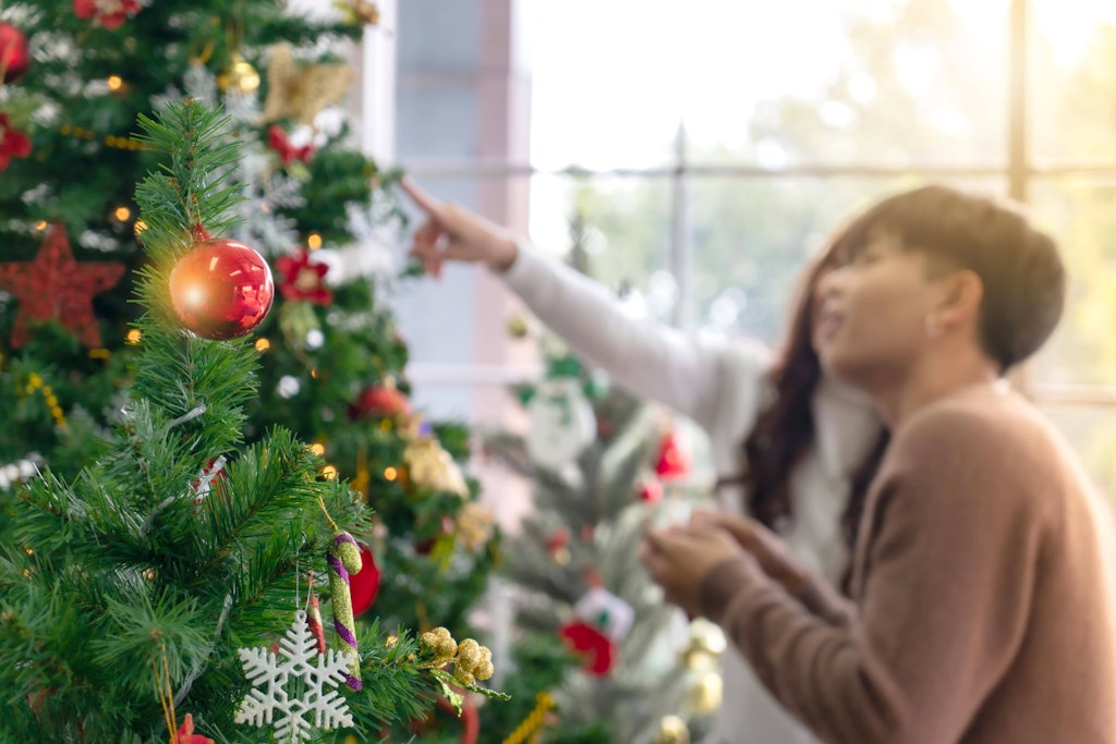 Mit dem Weihnachtsbaum kommen sehr viele Insekten in die Wohnung.