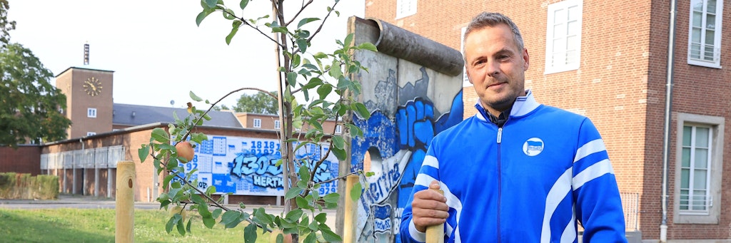 Gesagt, getan: Kay Bernstein pflanzte als neuer Hertha-Präsident einen Apfelbaum neben der Geschäftsstelle und packt auch sonst viel an. 