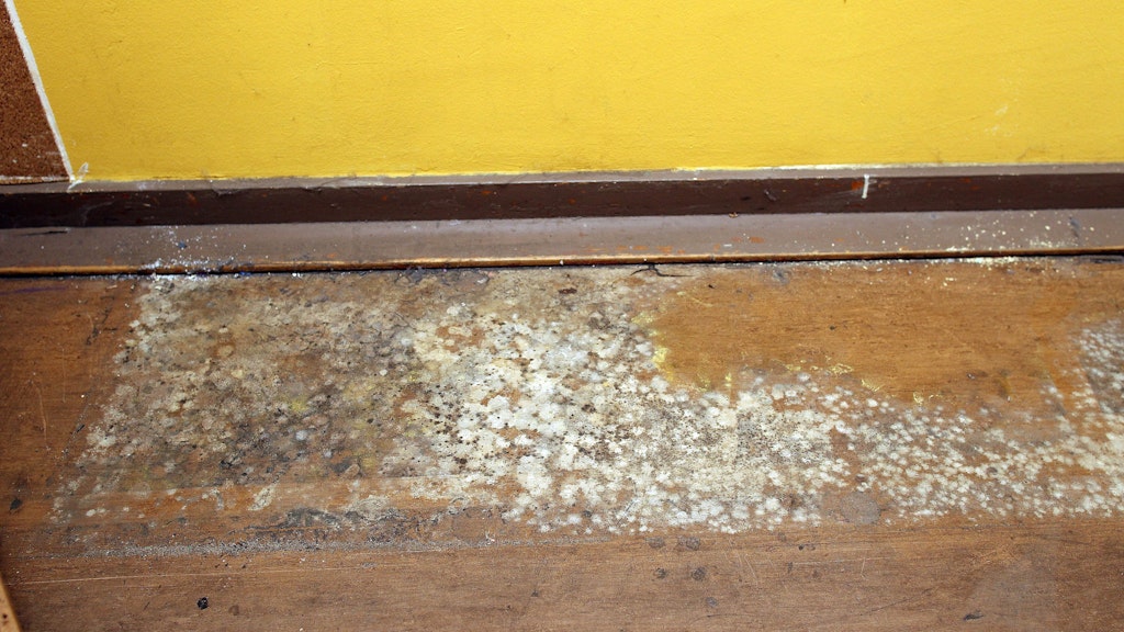 Anna Lindh-Grundschule in Berlin: Schimmelbefall im Klassenzimmer 064.