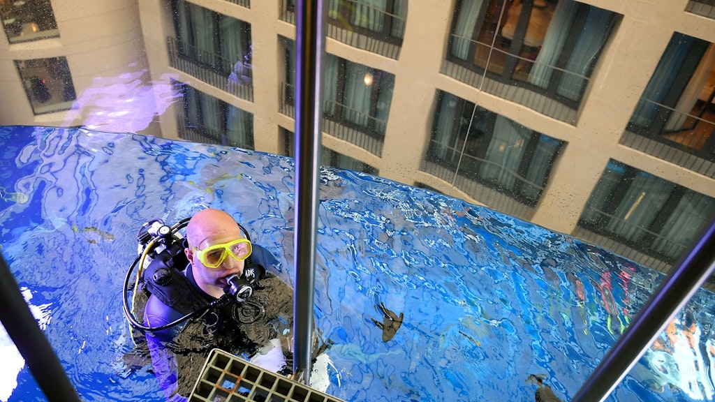 Ein Taucher geht im AquaDom des Sea Life Berlin ins Wasser. Erst gestern sei das Riesen-Aquarium noch geputzt worden. 