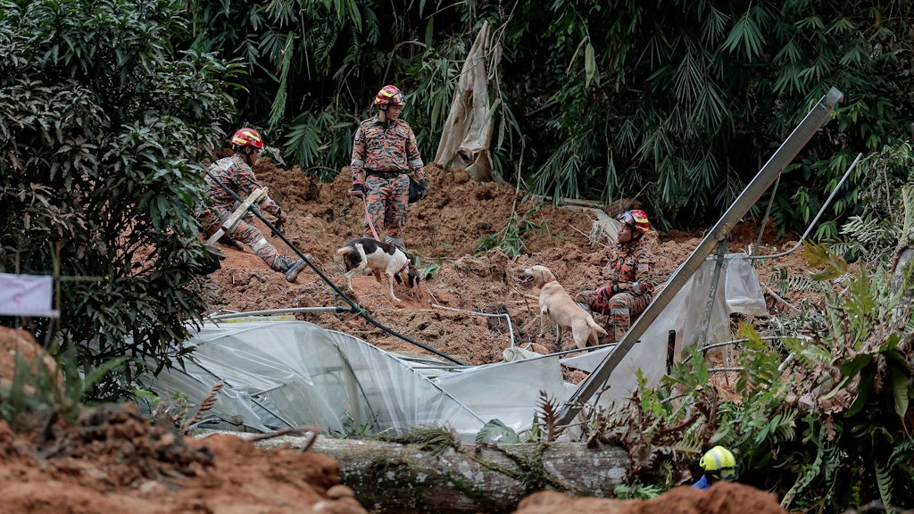 Mitglieder des malaysischen Rettungsteams setzen Suchhunde ein.