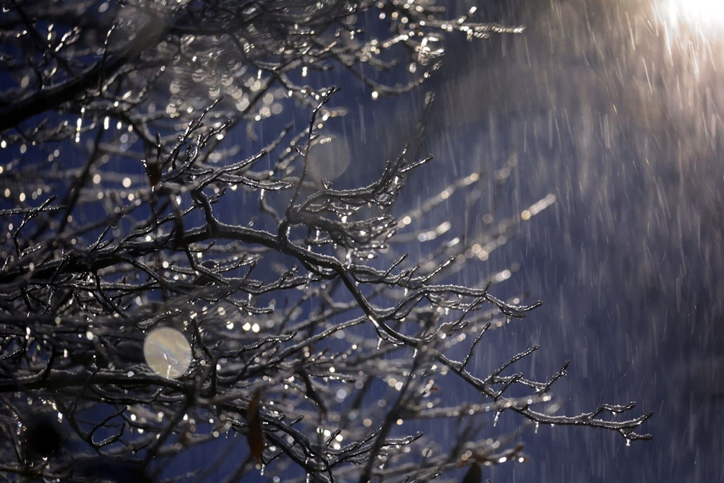 Was für ein Winter-Wetter... Ein mit Eis überzogener Busch steht am frühen Morgen im Schneetreiben. In Deutschland herrschen weiterhin eisige Wintertemperaturen.