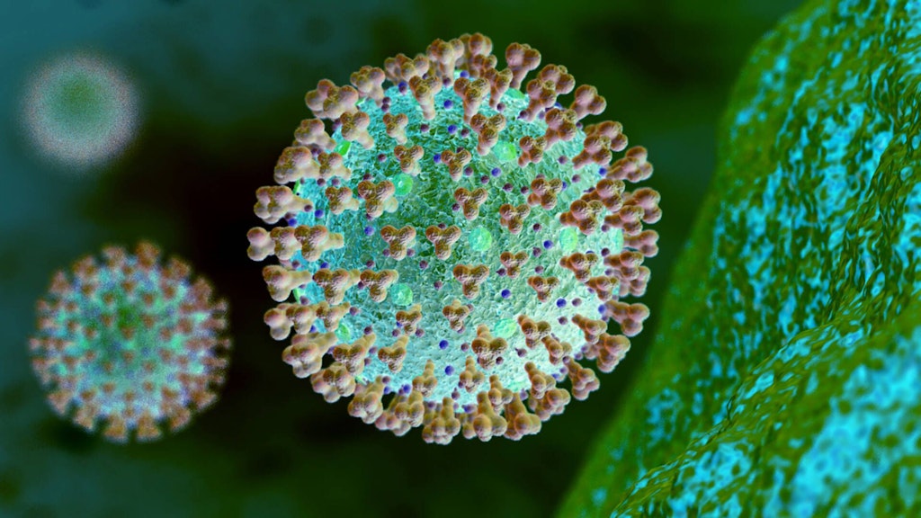 Das Corona-Virus - vor einem Jahr wurde die Omikron-Variante in Südafrika entdeckt.