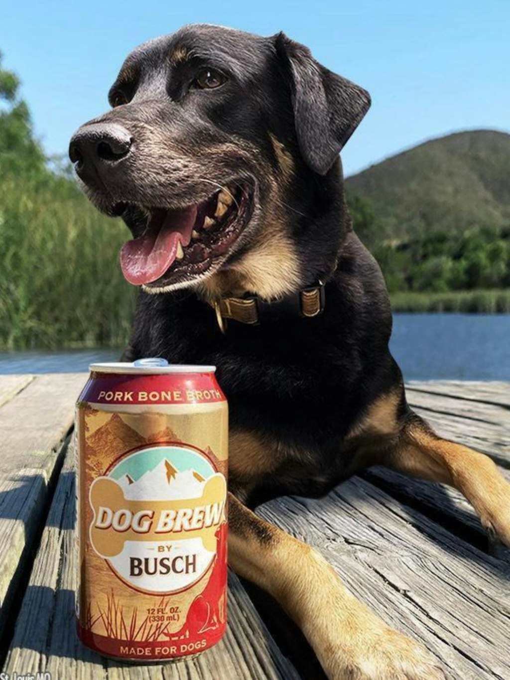 Alkoholfreies Bier in der Geschmacksrichtung Schweinebrühe.