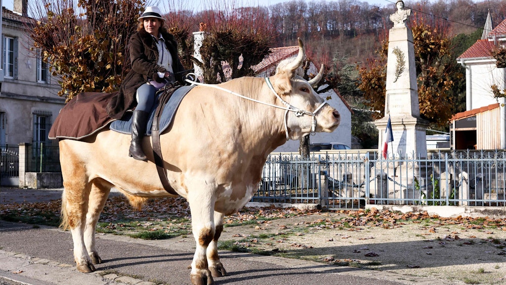 Sabine Rouas auf ihrem Bullen Aston.