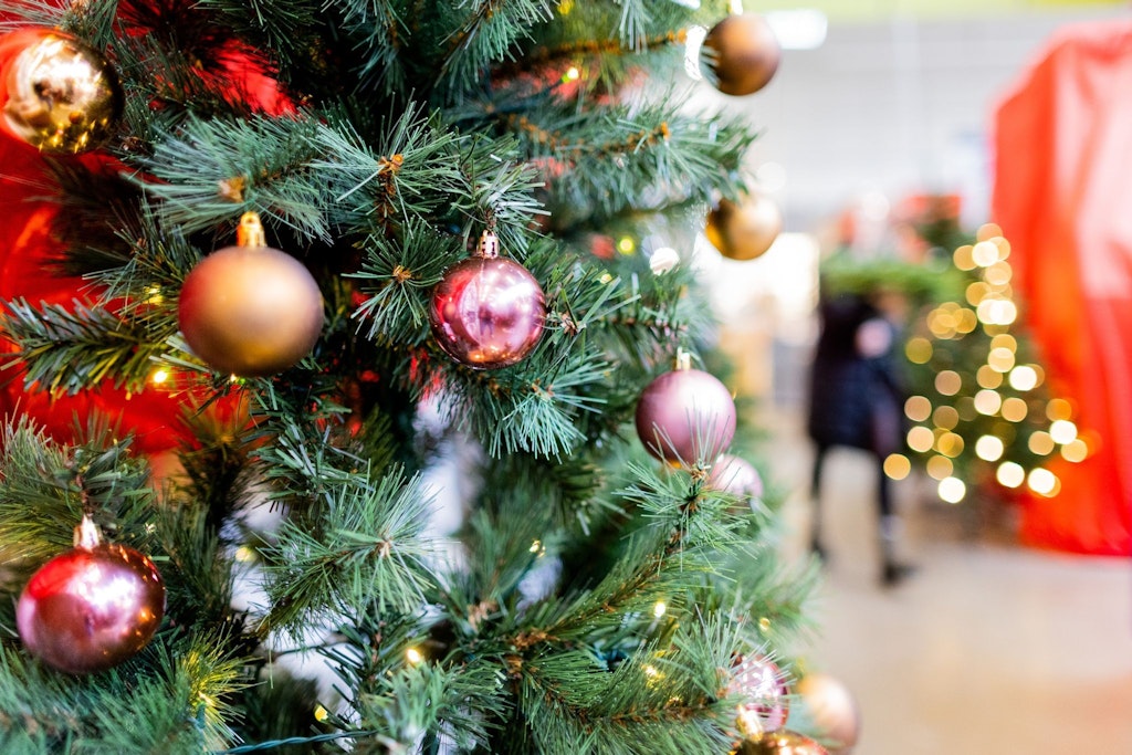 Weihnachten ohne Weihnachtsbaum ist für viele undenkbar.