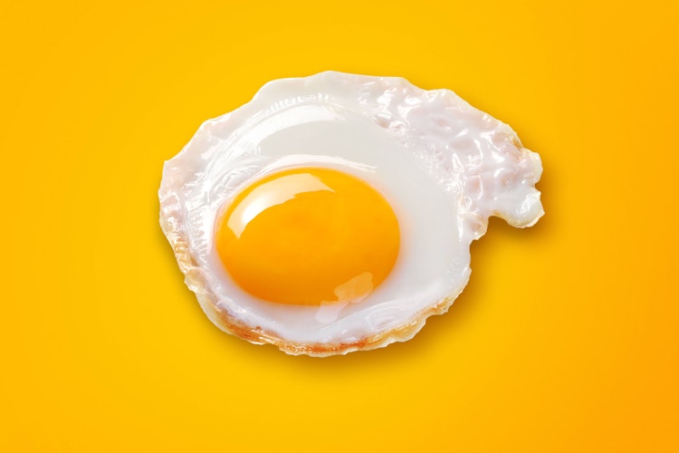 Not the yellow from the egg So lustig klingen deutsche Sprichwörter