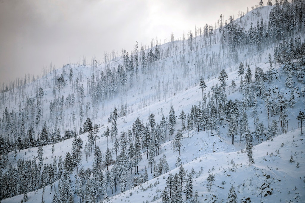 Schnee, Eis und klirrende Kälte – solches Wetter könnte frühestens Ende Januar wieder auf uns zukommen.