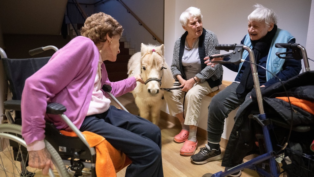 Bewohnerinnen sitzen in der Pflegeeinrichtung Bürgermeister-Gräf-Haus rund um das Shetland-Pony Toffee.