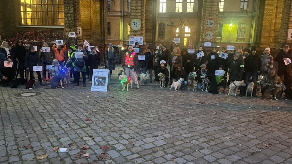 Mit Hunden: eine der Demonstrationen vor der Bezirksverordnetenversammlung Pankow.