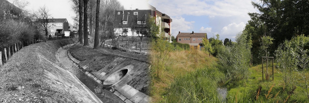 The upper reaches of the Emscher in Dortmund in 1976 and after renaturation.