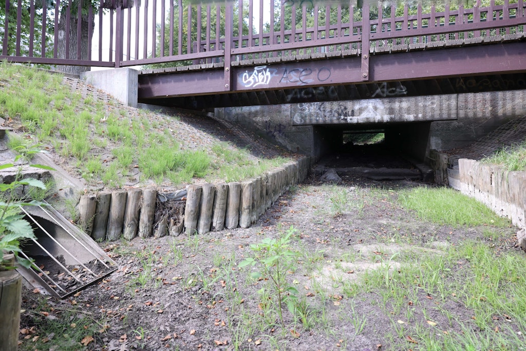 So sah der Oberlauf der Panke im August 2022 aus. Das Flüsschen war ausgetrocknet.