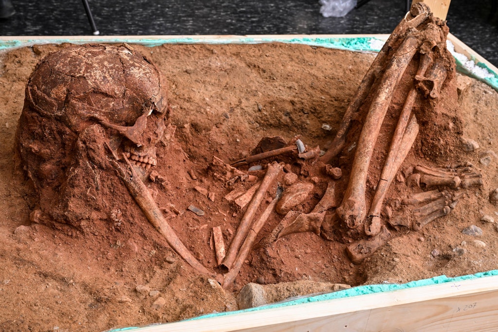 Die Ur-Uckermärkerin wurde vor 8000 Jahren in hockender Haltung beerdigt.