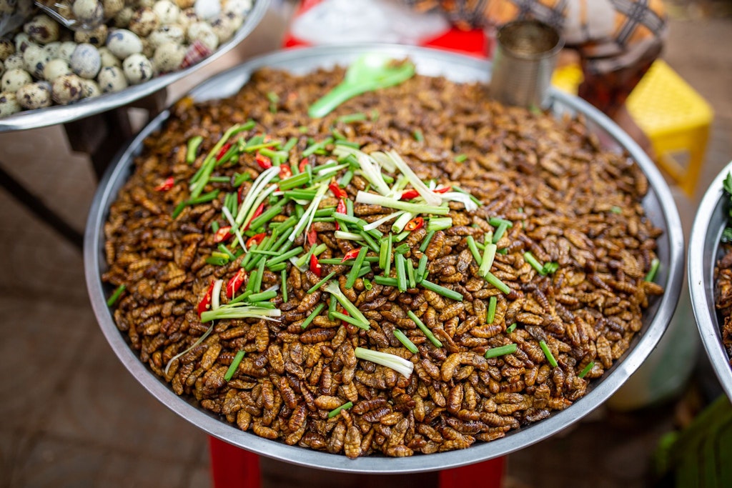 Auf einem Markt in Kambodscha werden gebratene Larven des Seidenspinners feilgeboten.