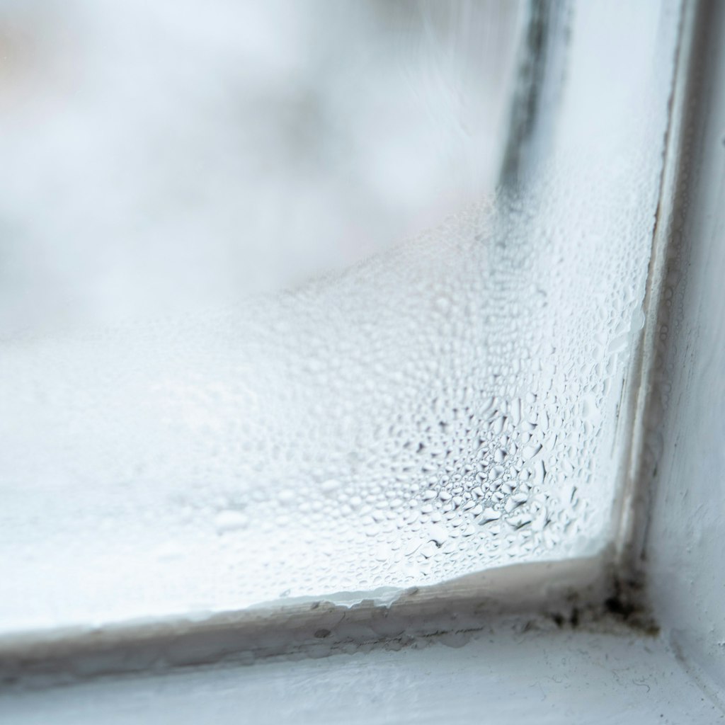 Oft sorgt eine hohe Luftfeuchtigkeit für Kondenswasser am Fenster.