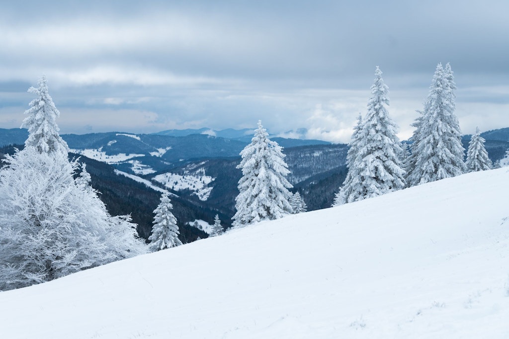 Der Winter hat in Deutschland Einzug gehalten. Das Wetter wird bitterkalt.