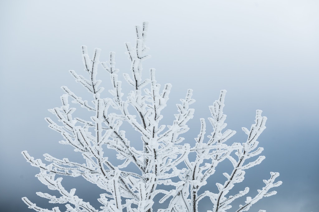 Schnee und Eiseskälte: Die Wetter-Aussichten versprechen weitere Winter-Tage.
