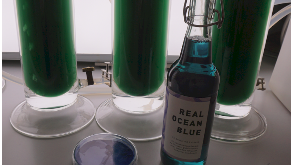 „Real Ocean Blue“ heißt das blaue Bier aus Sachsen-Anhalt. Hochschulstudenten benutzten Algen für das farbige Getränk.