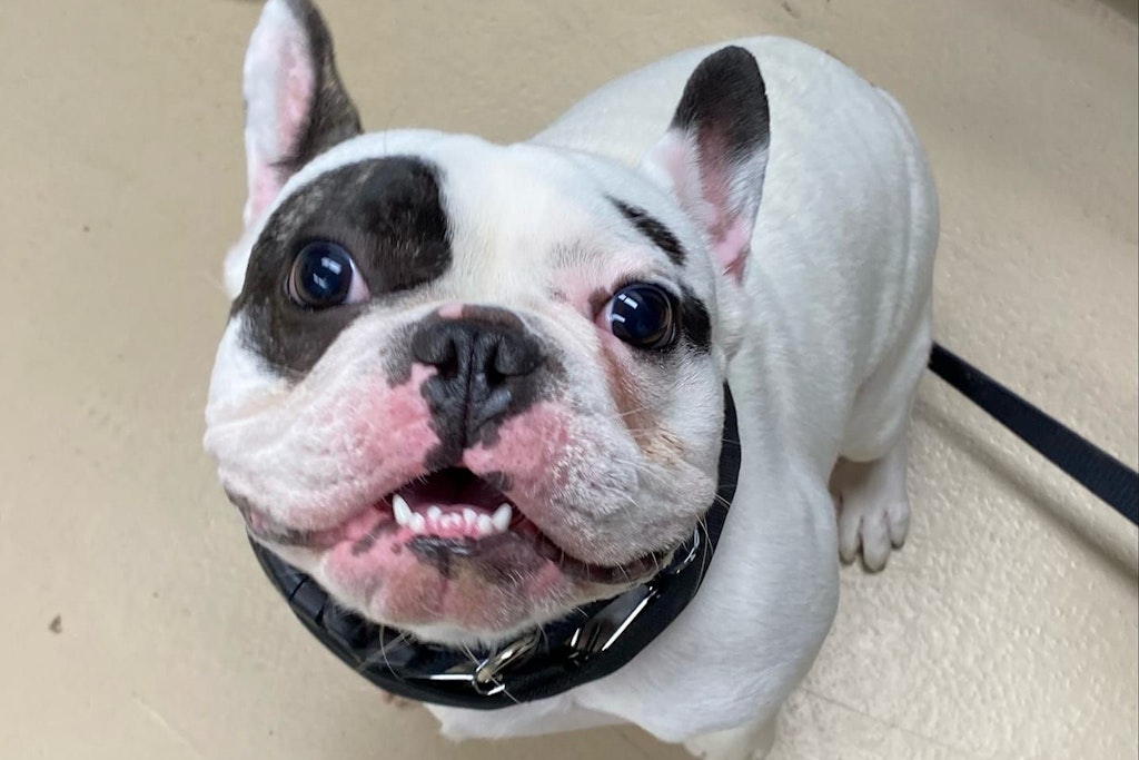 Ralphie ist ein volles Arschloch - nicht nur ein halbes.