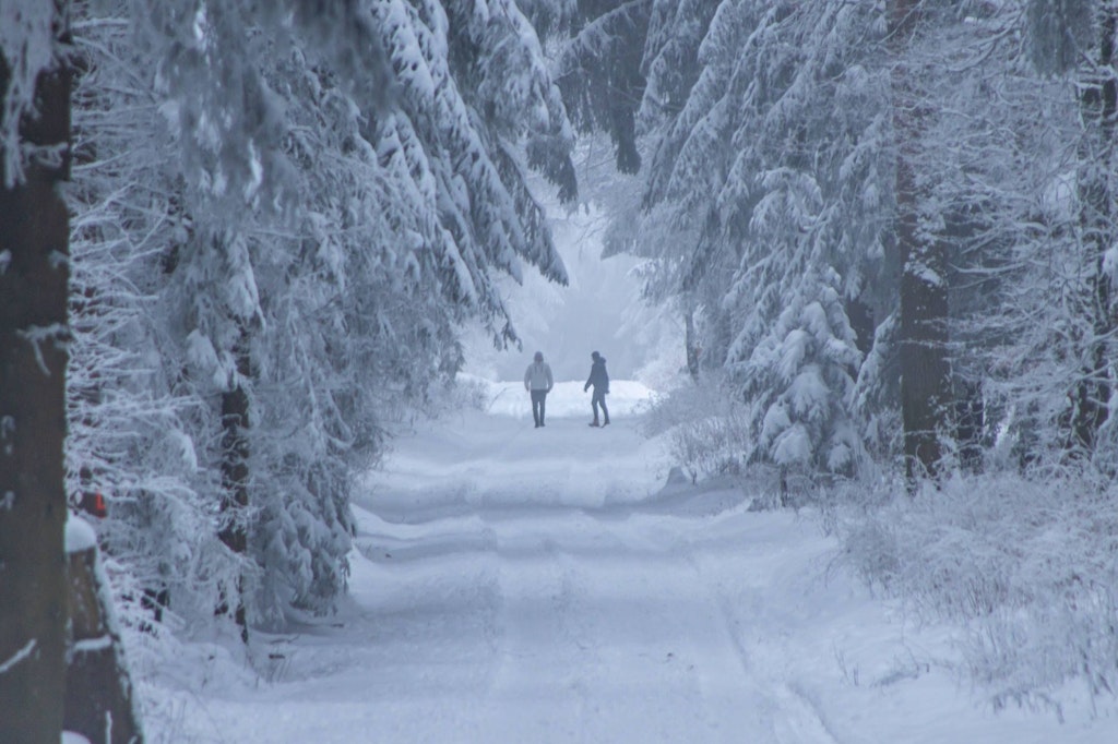 Versinken wir nächste Woche in Schneemassen? Damit rechnen zumindest die Wetterexperten.
