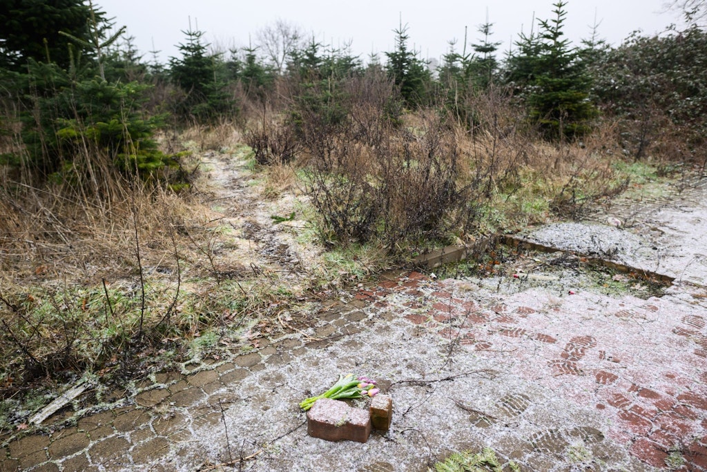 Blumen liegen auf einem Brachgelände in Wunstorf-Blumenau, wo diese Woche die Leiche des 14-Jährigen gefunden wurde.
