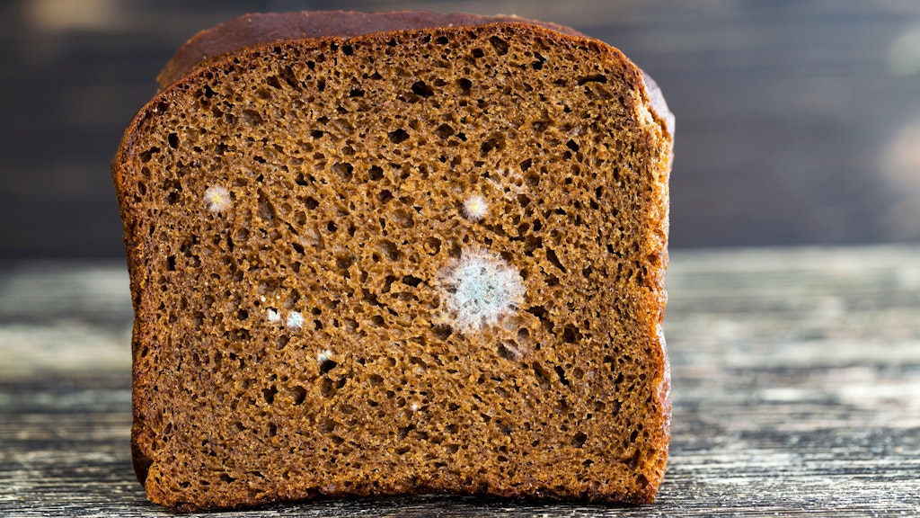 Falsch aufbewahrt kann Brot schnell schimmeln.