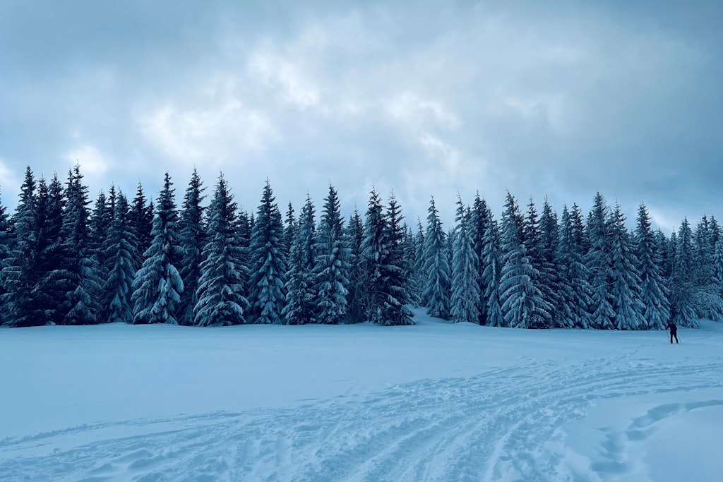 Schnee so weit das Auge reicht. Nicht überall wechselt das Wetter dieser Tage in den Frühlingsmodus.