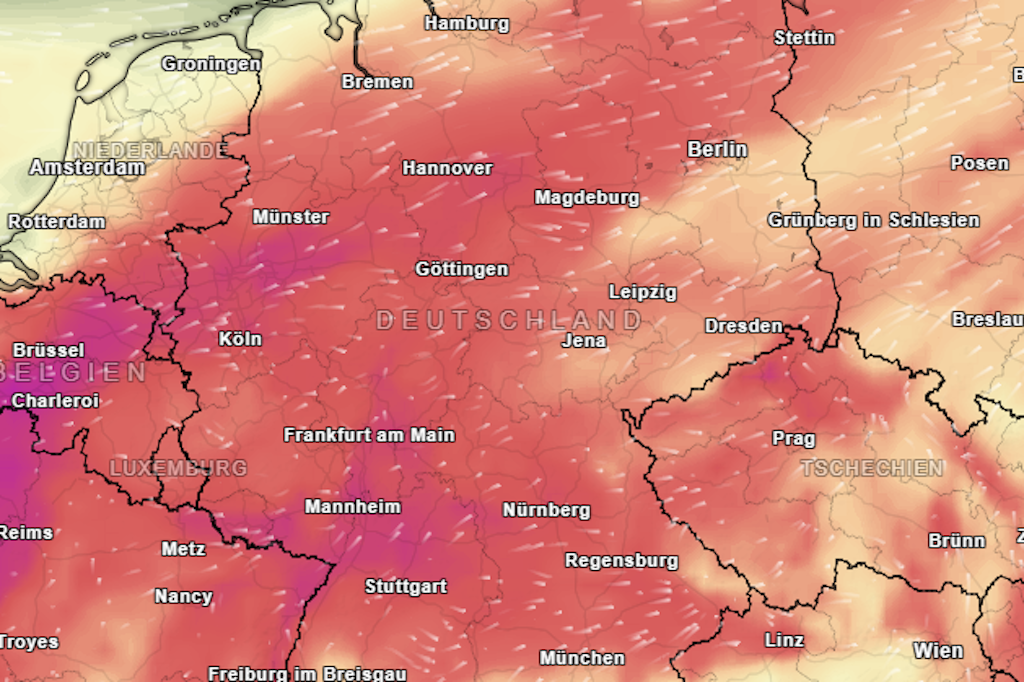 Belastung durch Feinstaub: Teilweise liegt die Belastung bei 50 µg/m3! Der Grenzwert liegt bei 25 µg/m3! Diese kleinen Partikel können bis tief in die Lunge vordringen!