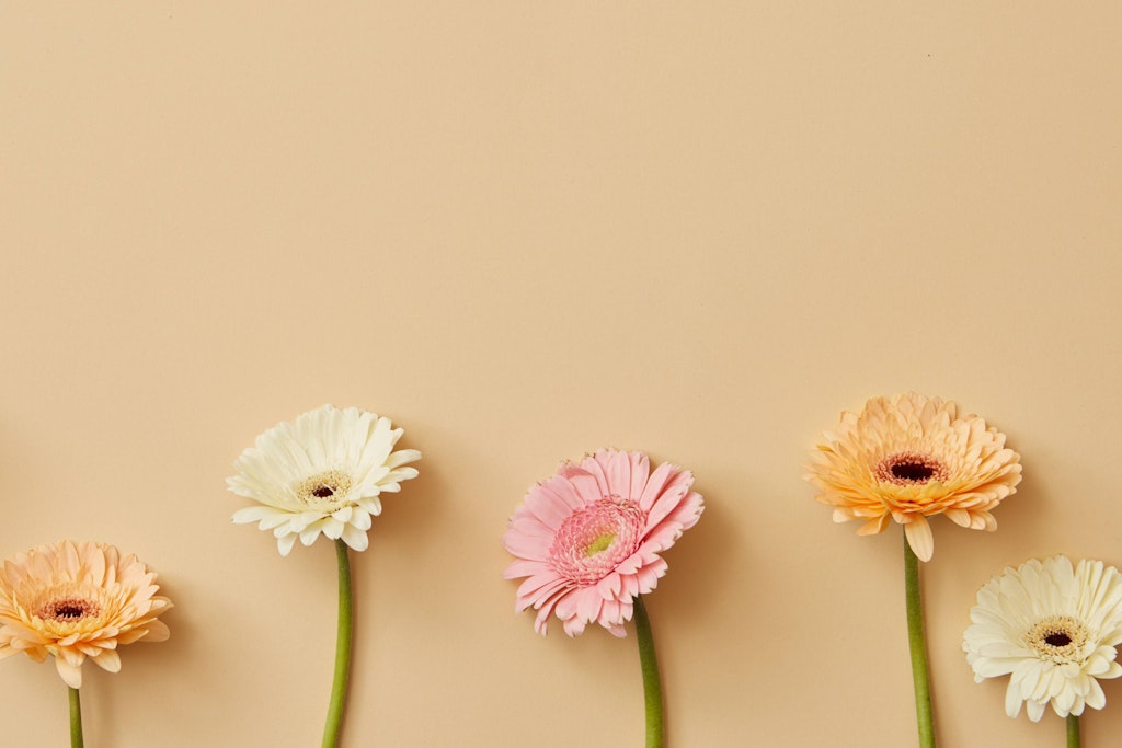 Blumen zum Valentinstag haben eine lange Tradition.