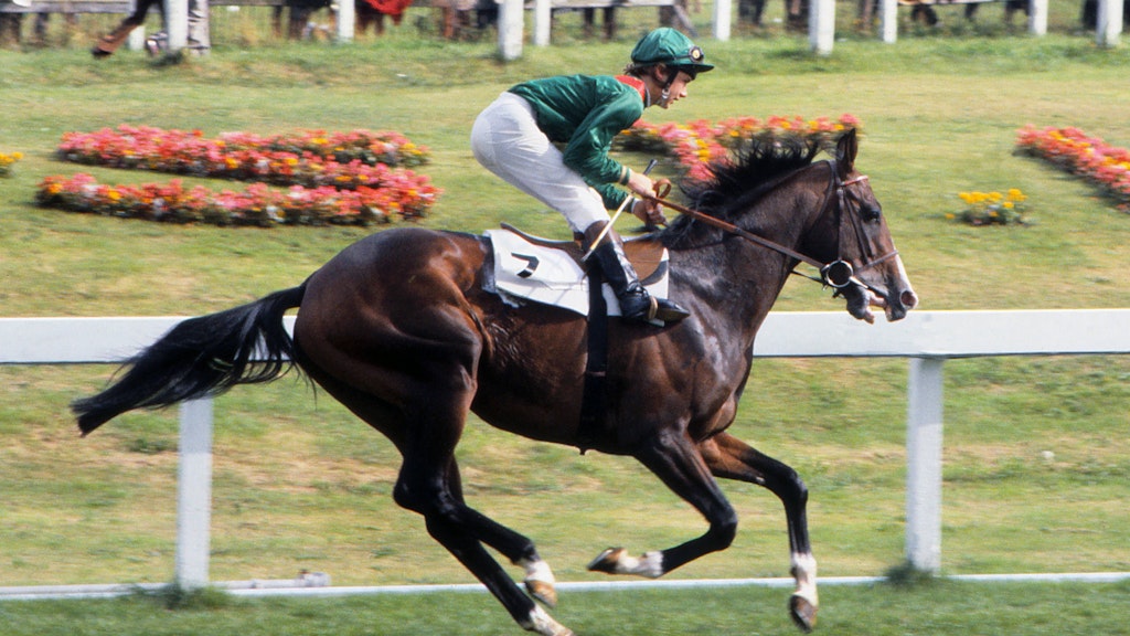 Shergar in seinem letzten Rennen, in dem er Vierter wurde.