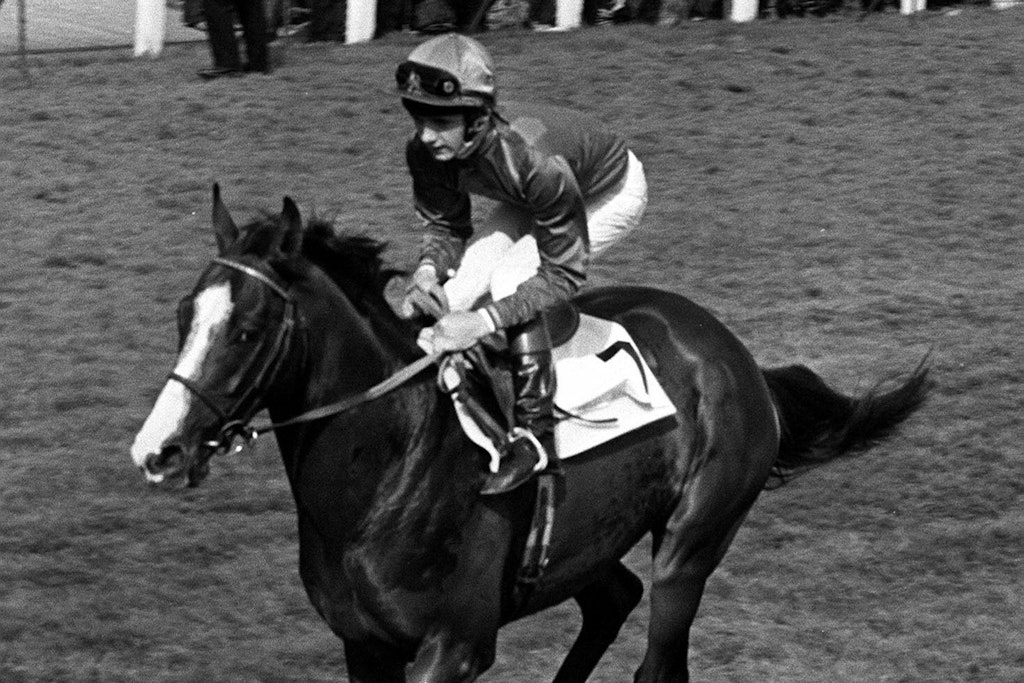 Pferd Shergar mit dem Jockey Walter Swinburn im Sattel.
