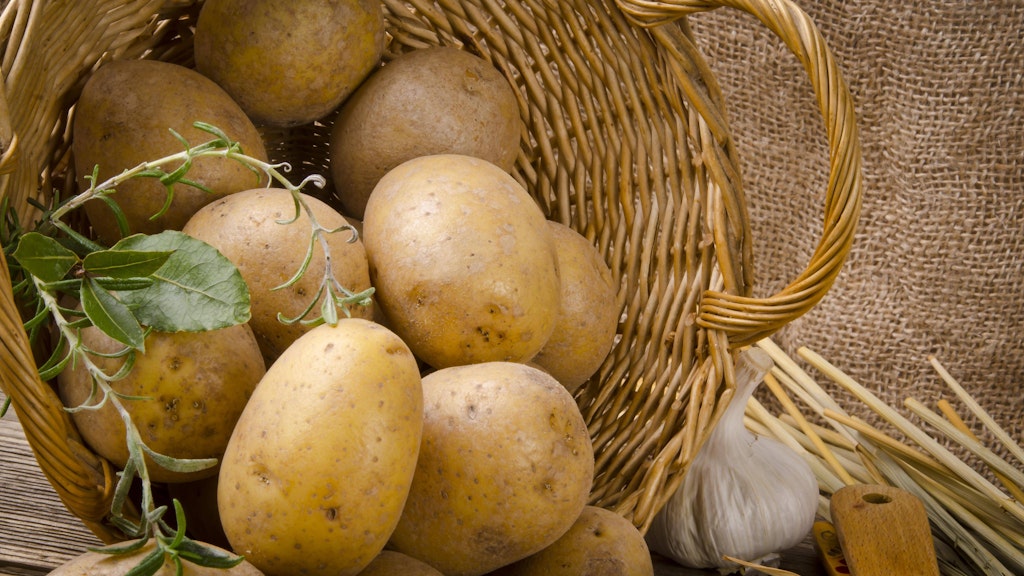 Wer Kartoffeln richtig lagert, verhindert, dass sie schnell Triebe ausbilden.