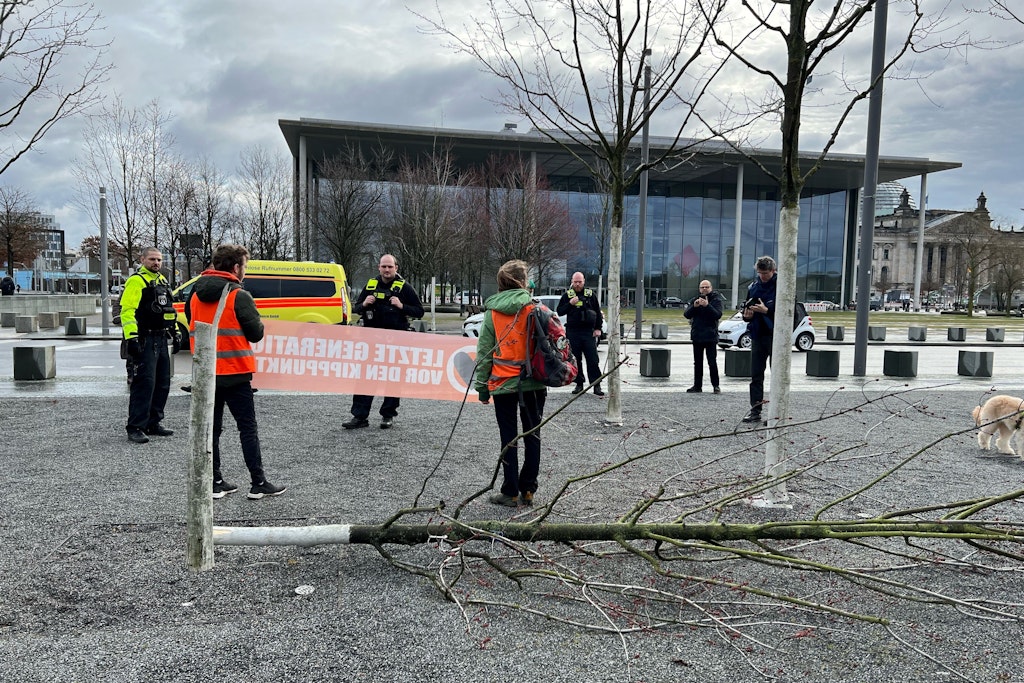 Die Klima-Kleber und ihr Baum